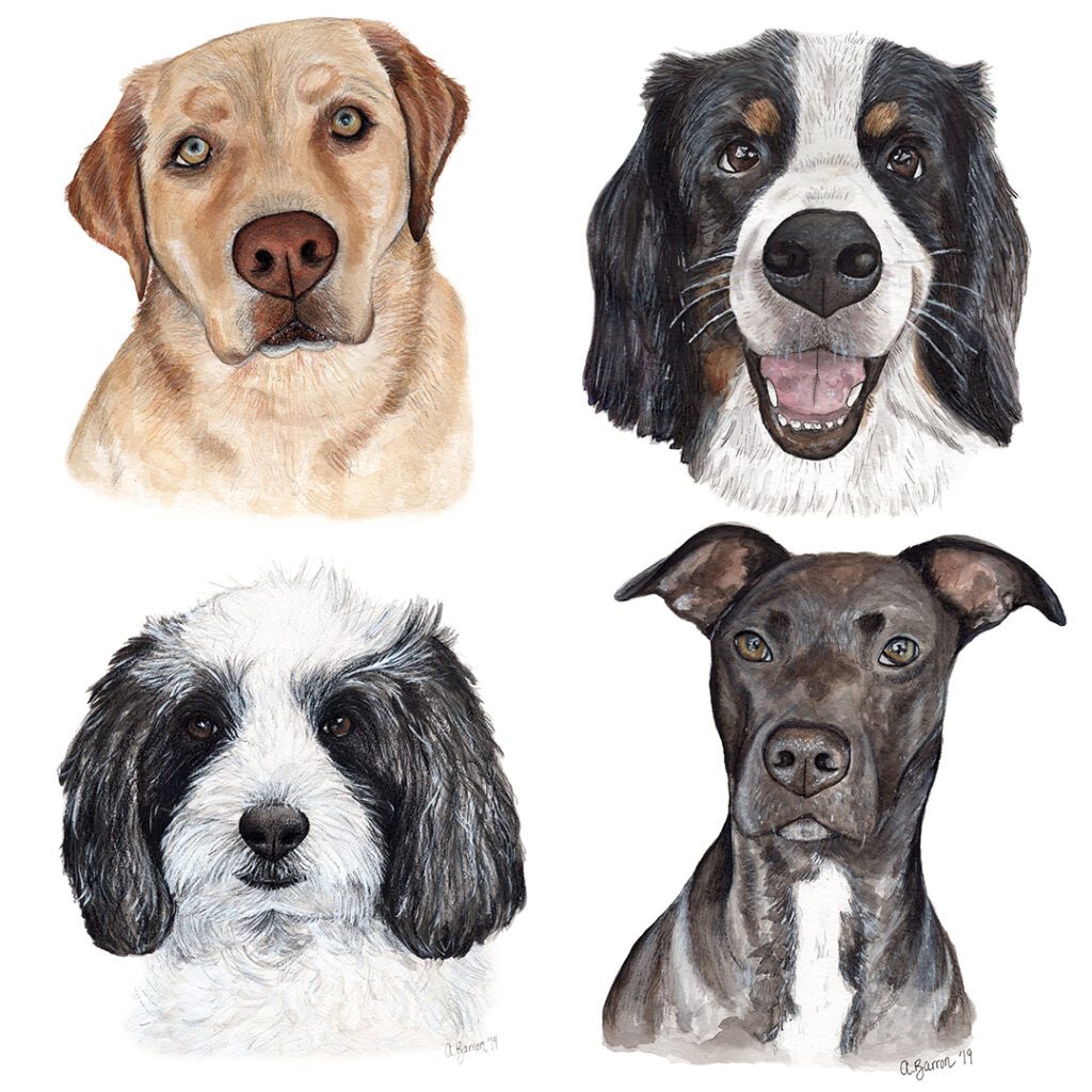 how to start a pet portrait business
