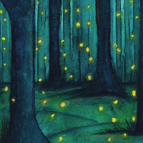 firefly painting