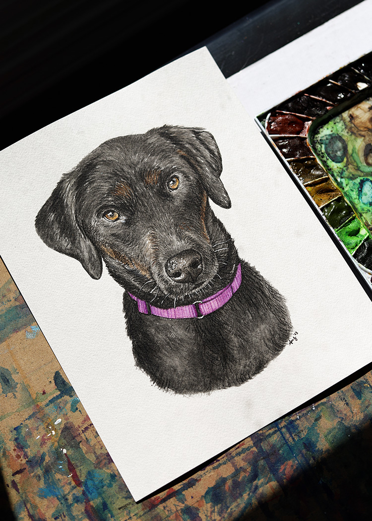 custom pet art