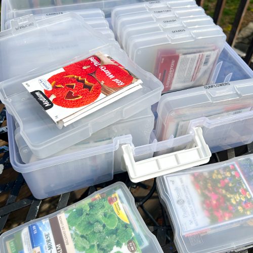 organzing seeds