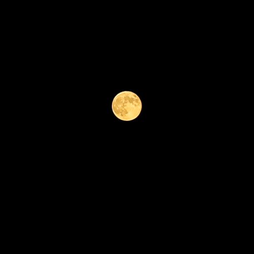 happy full moon