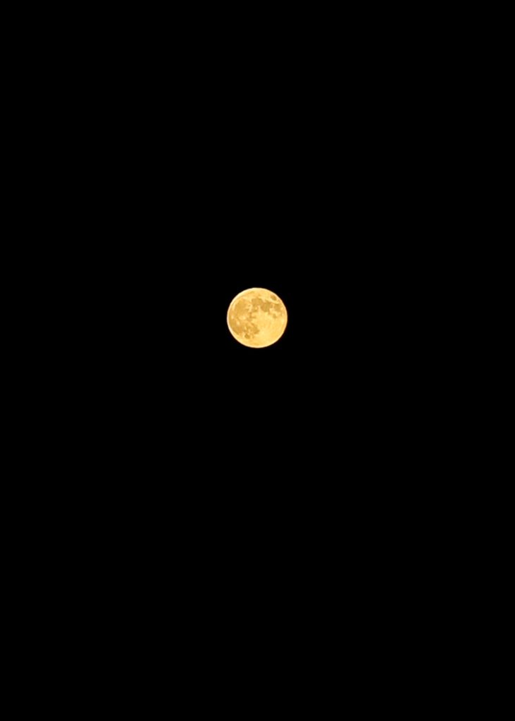 happy full moon