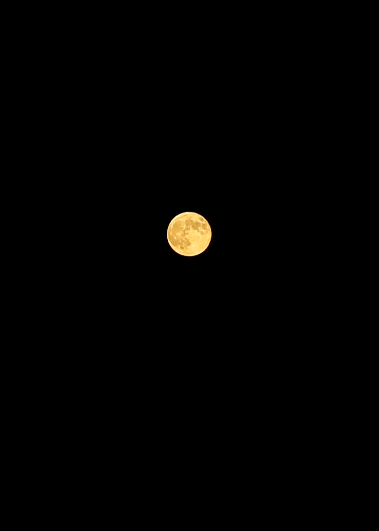 happy full moon