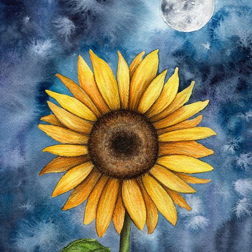 behind the art sunfower and moon