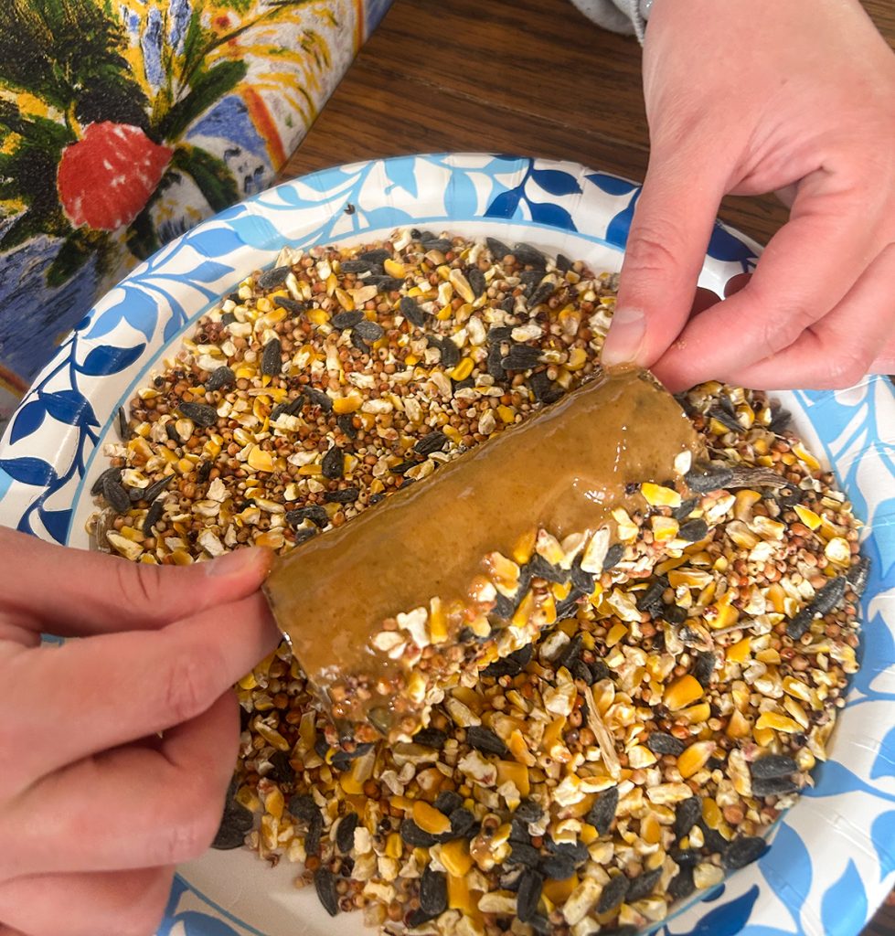 DIY toilet paper roll bird feeder