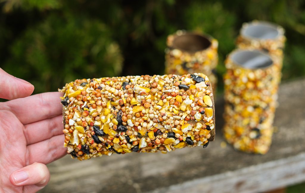 How to make a bird feeder with a toilet paper roll