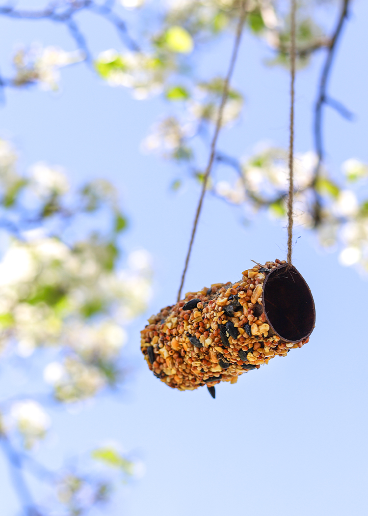 diy bird feeder