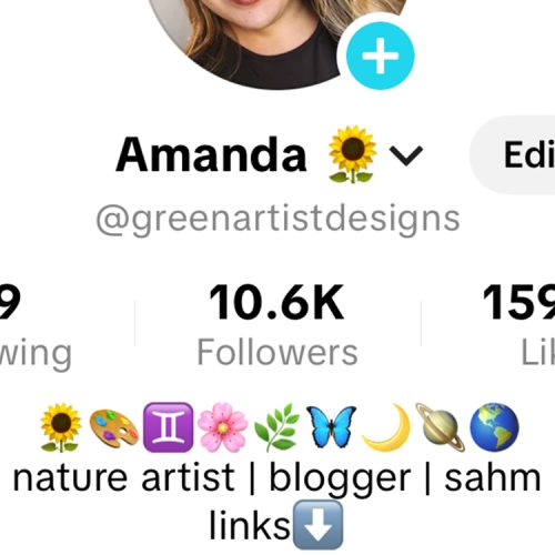 tiktok for artists